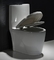 Einteilige runde Toiletten-ebener Einzelstück-Kommode-VerdoppelungSpülkasten 12 rau herein